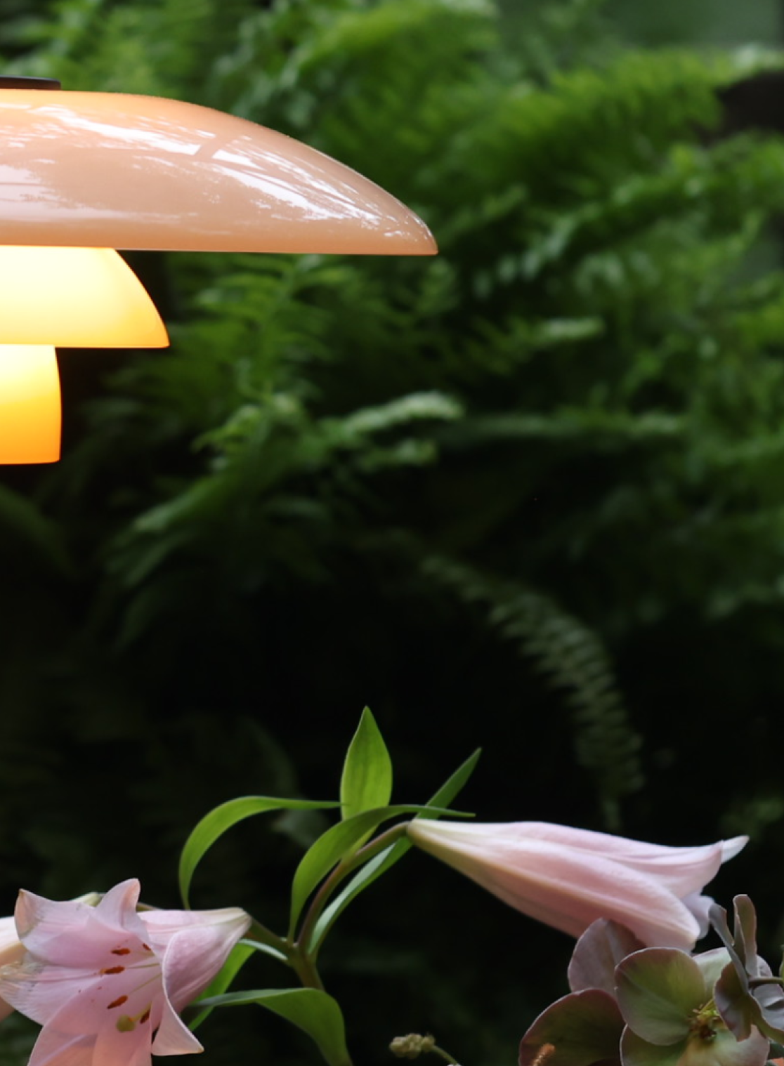 Side view of PH 3/2 Limited Edition Table Lamp among lilies and ferns, © 2025 Louis Poulsen.